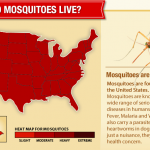 DIY mosquito treatment saves big money